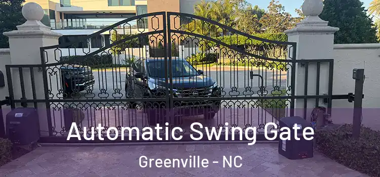  Automatic Swing Gate Greenville - NC