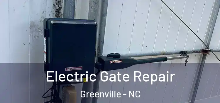 Electric Gate Repair Greenville - NC