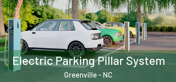  Electric Parking Pillar System Greenville - NC