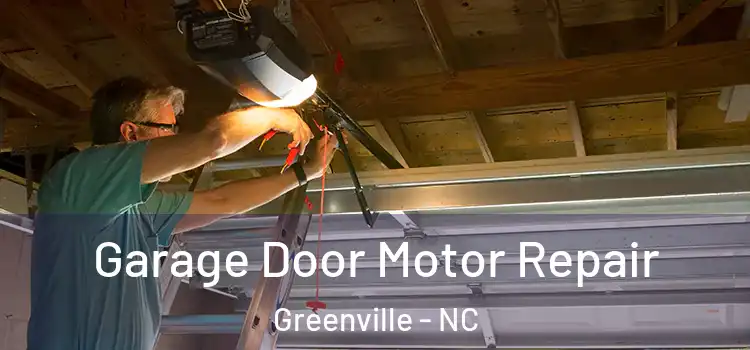  Garage Door Motor Repair Greenville - NC