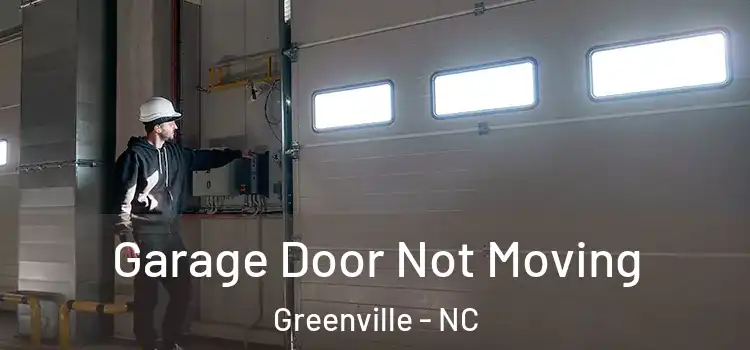  Garage Door Not Moving Greenville - NC