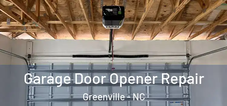  Garage Door Opener Repair Greenville - NC