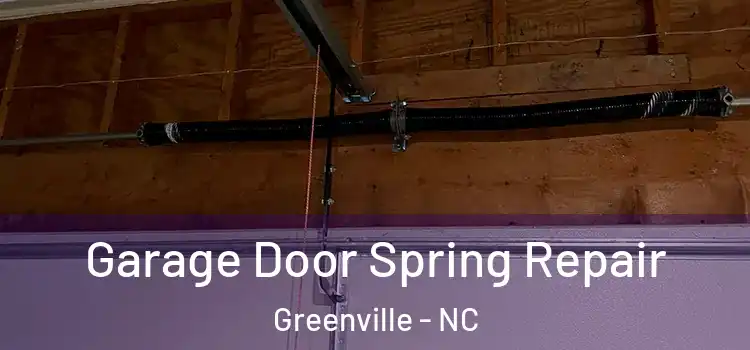  Garage Door Spring Repair Greenville - NC