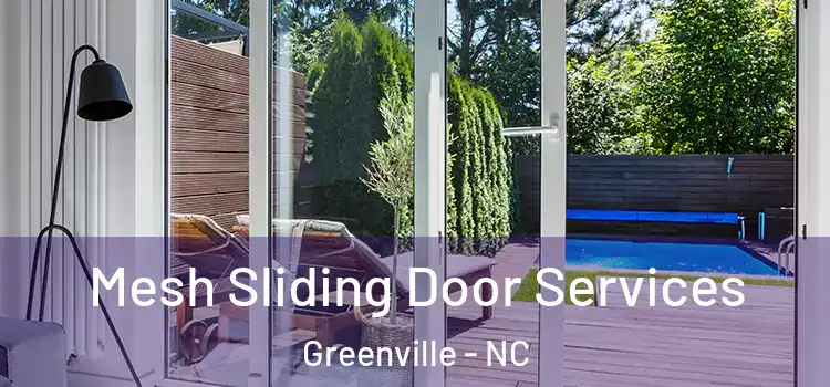  Mesh Sliding Door Services Greenville - NC